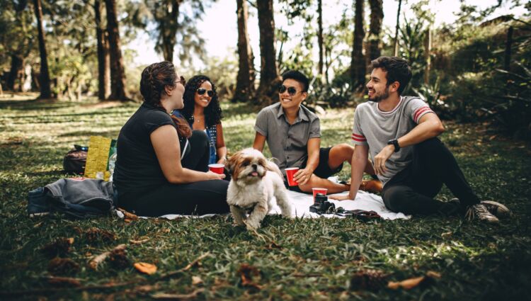 Group of friends sit on picnic blanket outdoors