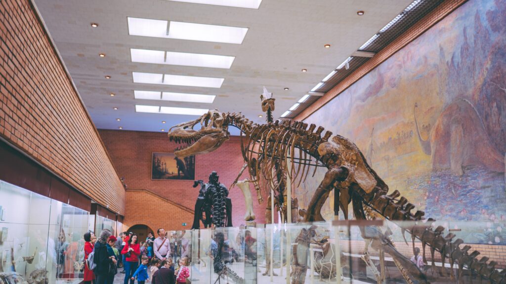 A crowd observes a dinosaur skeleton fossil in a museum.