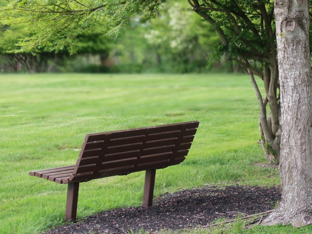 Empty bench in a park, symbolizing loss and grief.